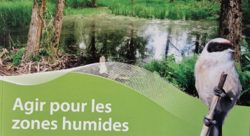 Retours d'expériences sur les zones humides Rhône & Saône image