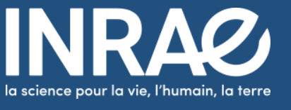 Votre expérience de la concertation dans un projet de restauration de rivière image